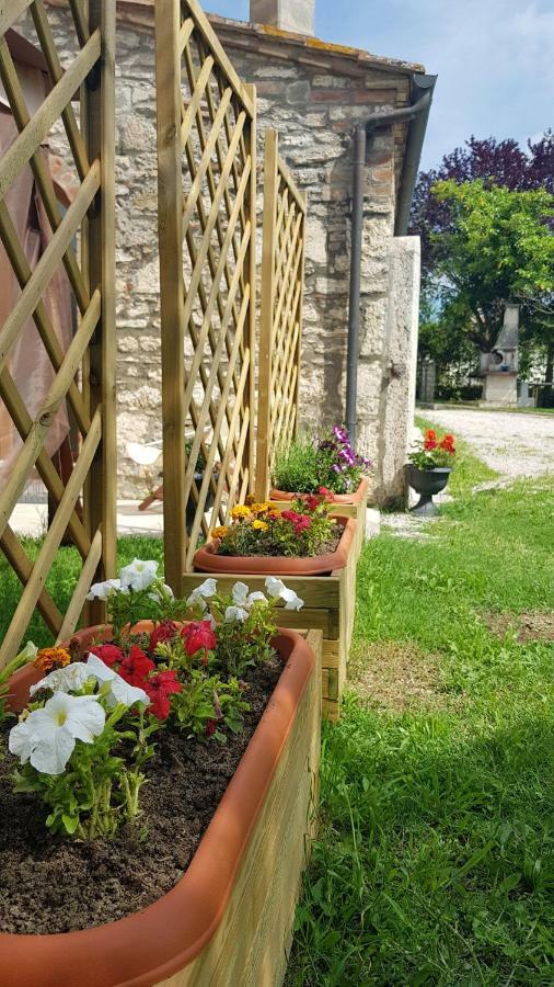 San Paterno B&B Rapolano Terme Exteriör bild