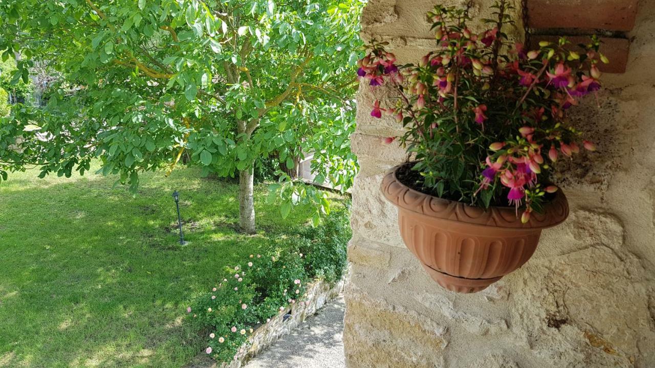 San Paterno B&B Rapolano Terme Exteriör bild