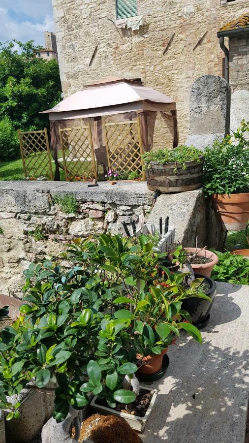 San Paterno B&B Rapolano Terme Exteriör bild