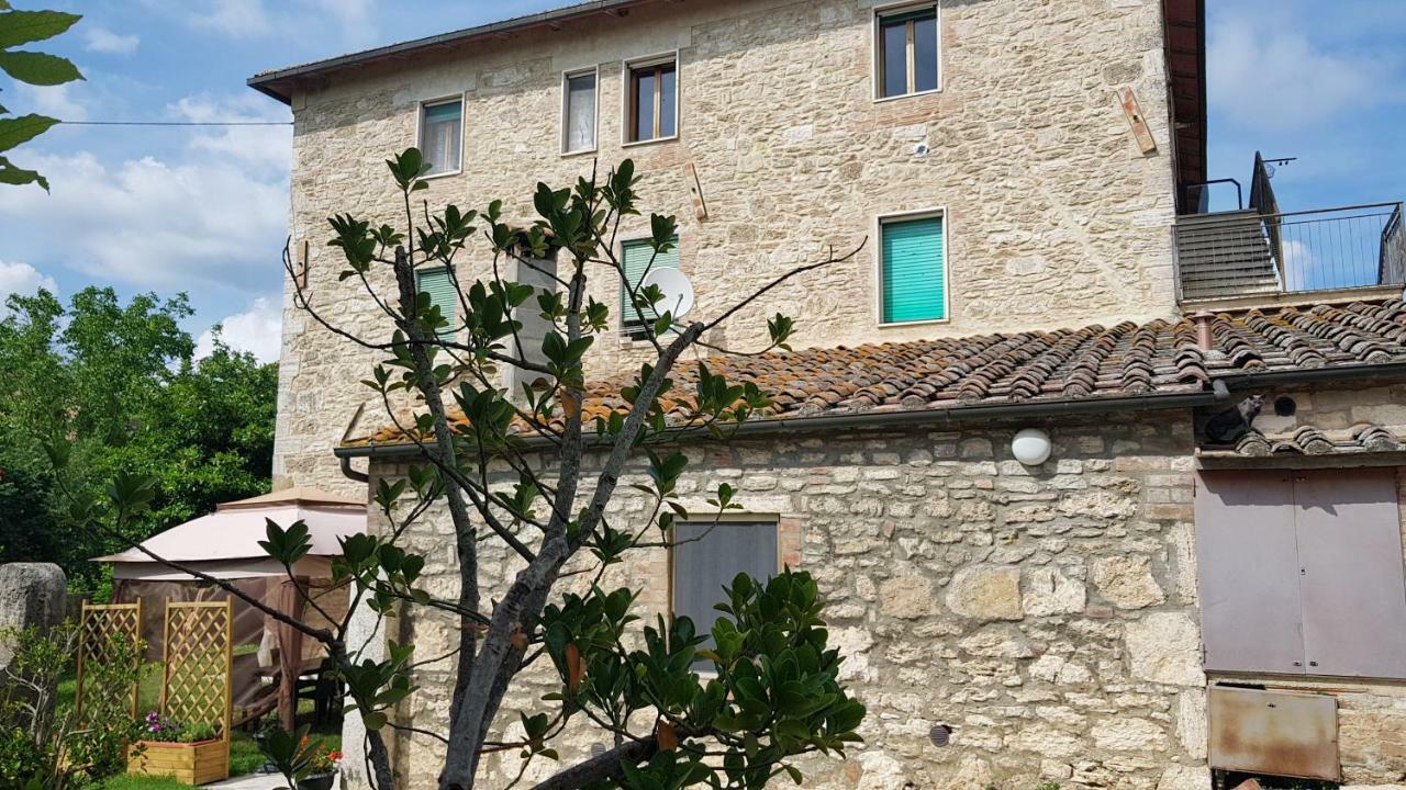 San Paterno B&B Rapolano Terme Exteriör bild
