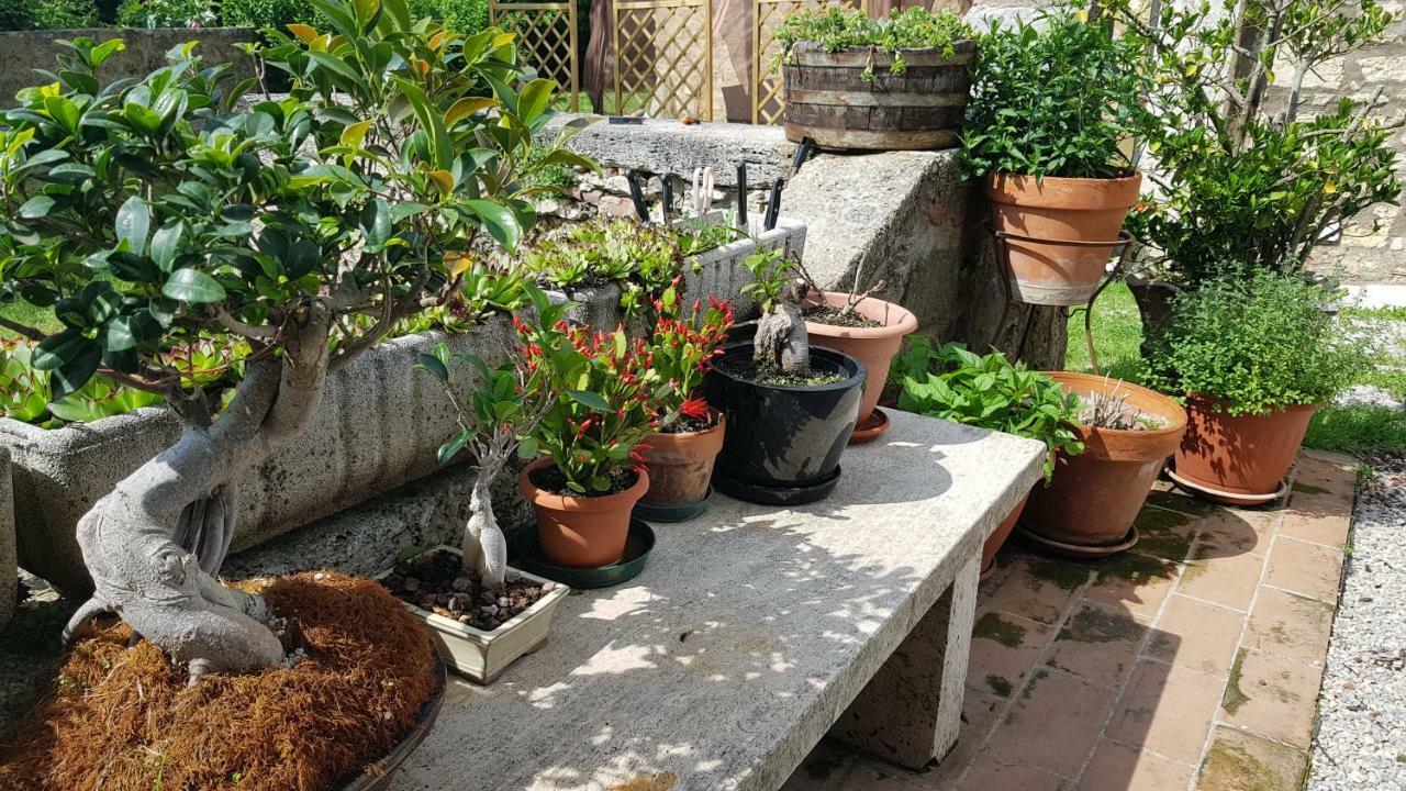 San Paterno B&B Rapolano Terme Exteriör bild