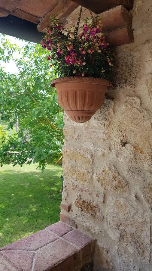 San Paterno B&B Rapolano Terme Exteriör bild